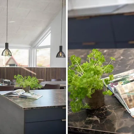 Tatil Evi Bv243-blavand-nordslugen-41 *